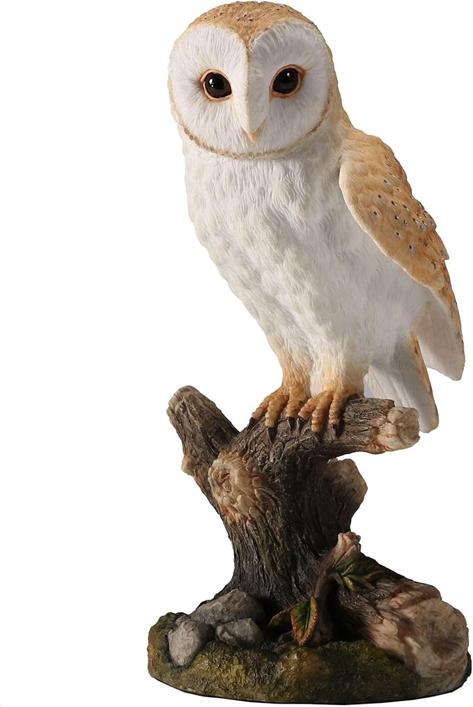 Barn Owl Standing On Branch