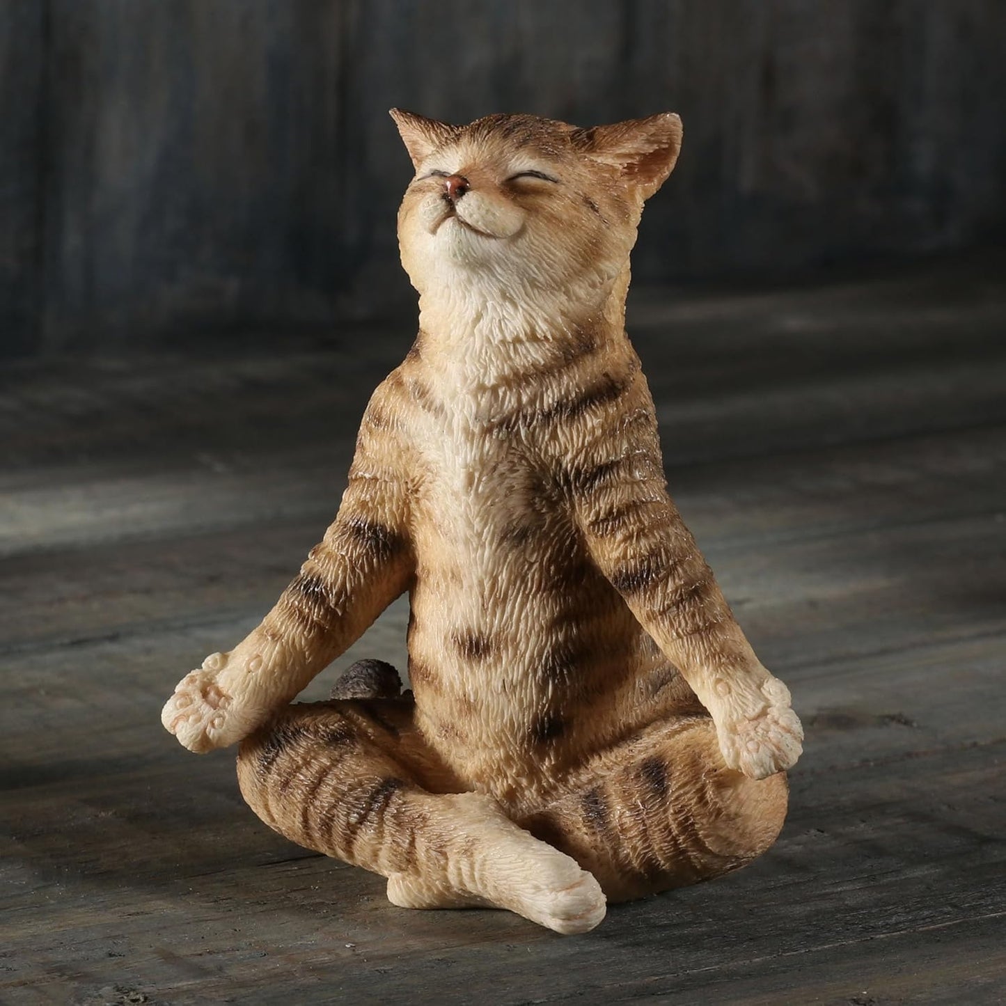 Brown Tabby Yoga Cat Lotus Pose