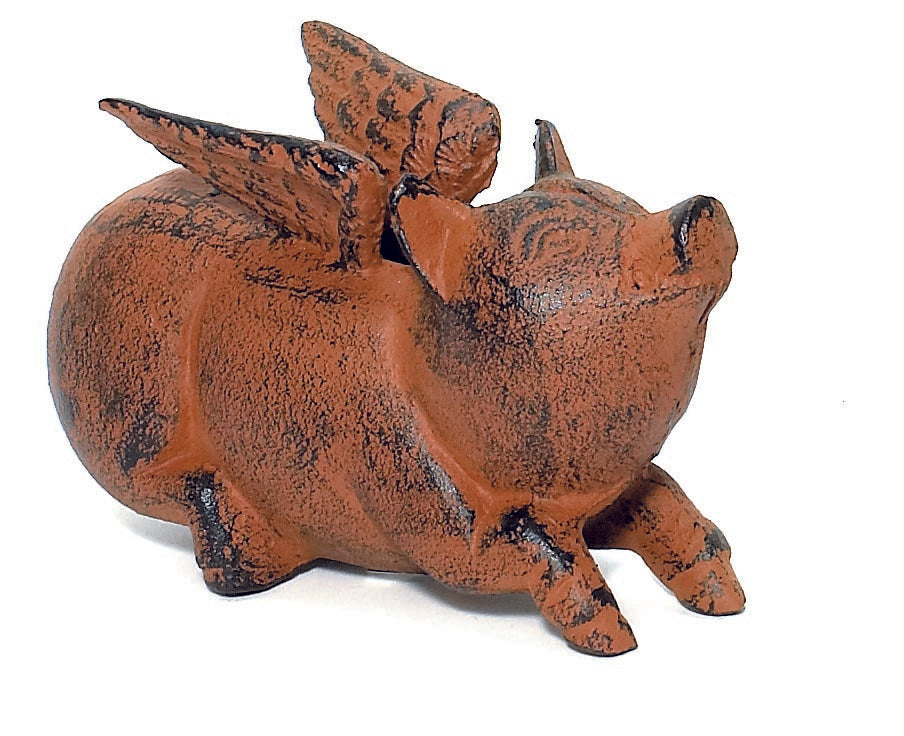 Flying Pig