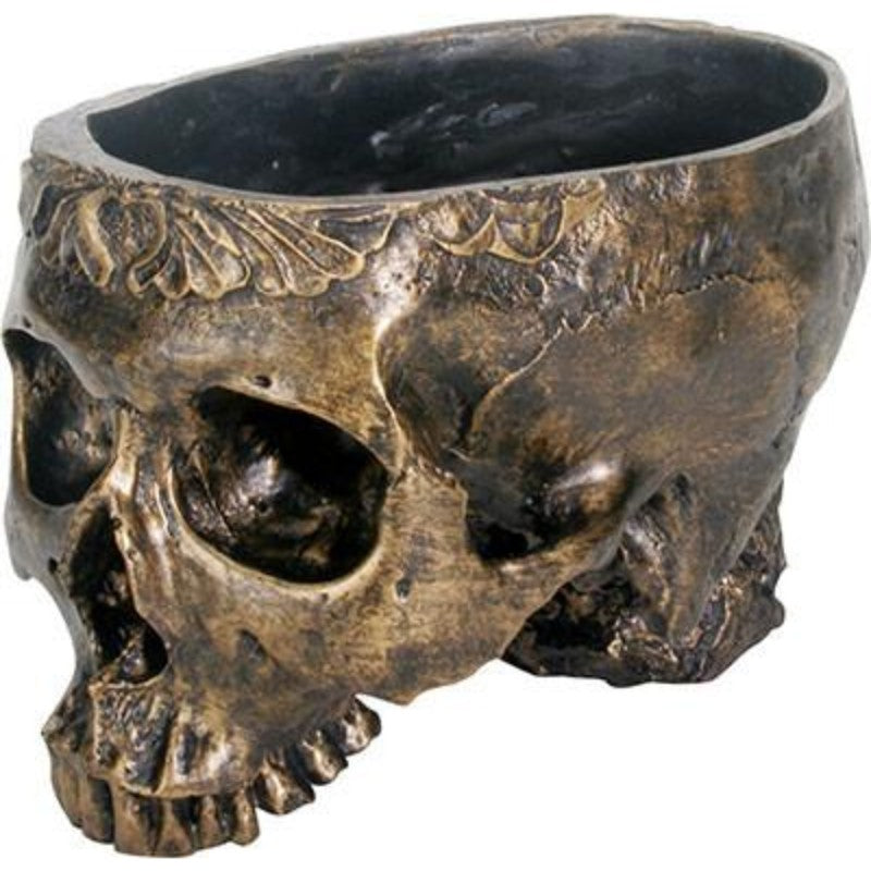 Human Skeleton Skull Planter Plant Pot