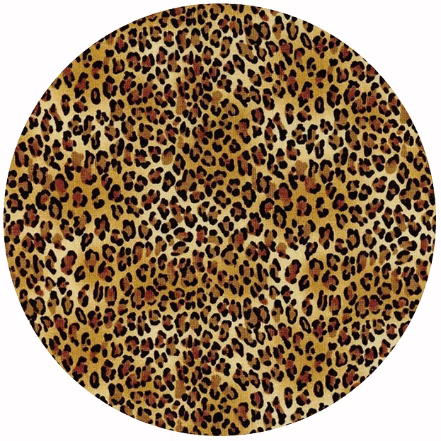Cheetah - 952
