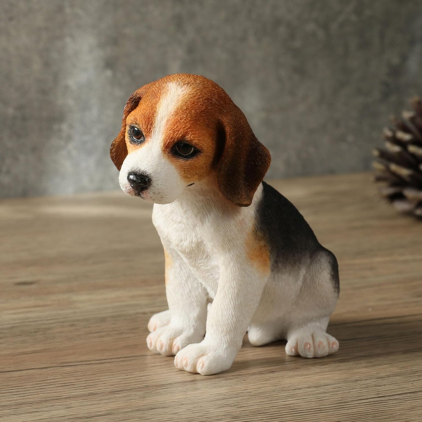 Beagle Puppy Sitting