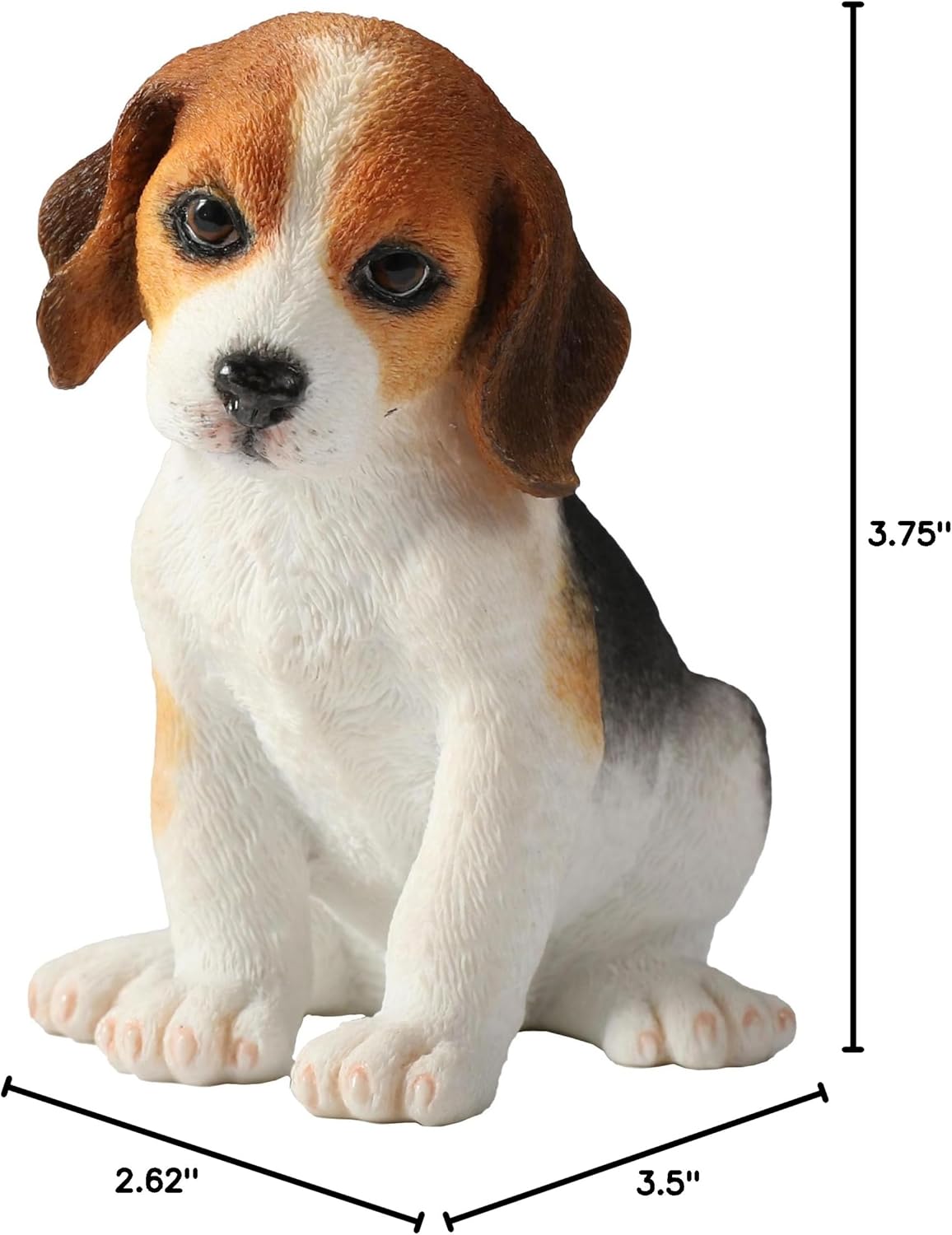 Beagle Puppy Sitting