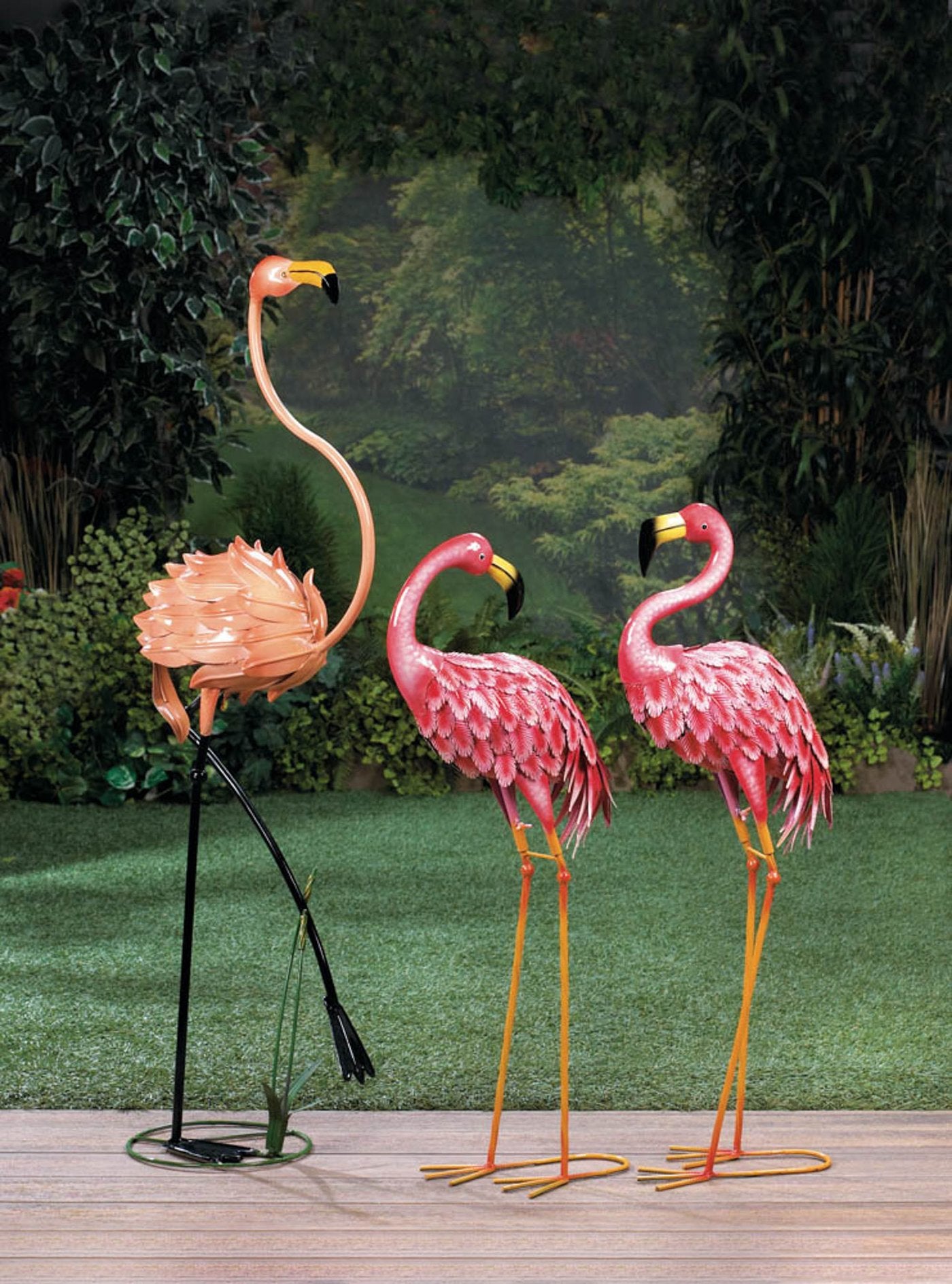 Bright Standing Flamingo Looking Back