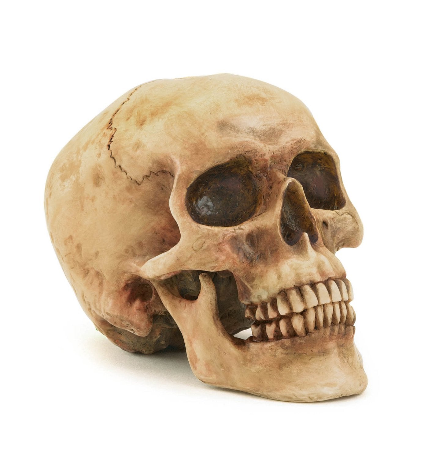 Grinning Resin Human Skull Spooky Halloween Party Decor Prop Statue Sculpture