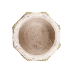 Set of Two Ancient Leaf Cement Flower Pot