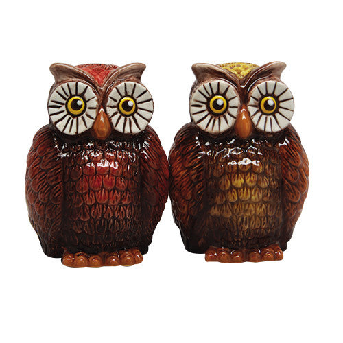 Pacific Trading Owls Ceramic Salt And Pepper Shaker Set