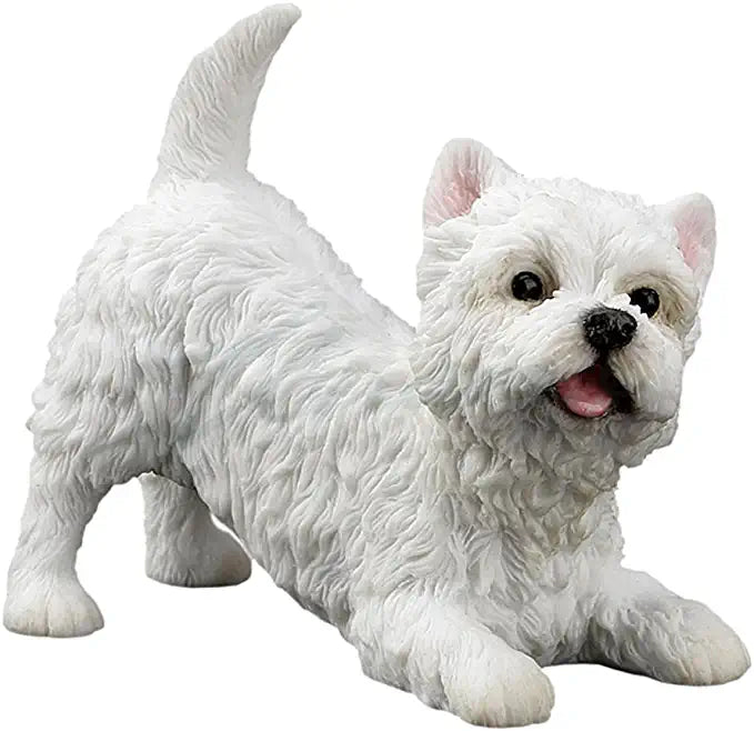 West Highland White Terrier Puppy