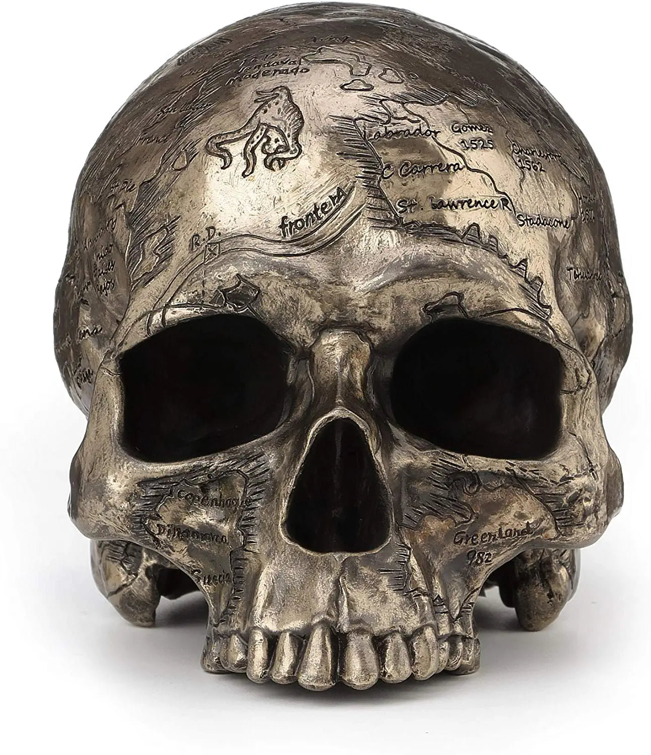 Craniumography Skull Map Statue