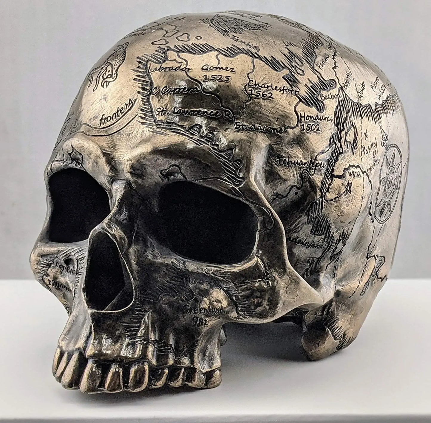Craniumography Skull Map Statue