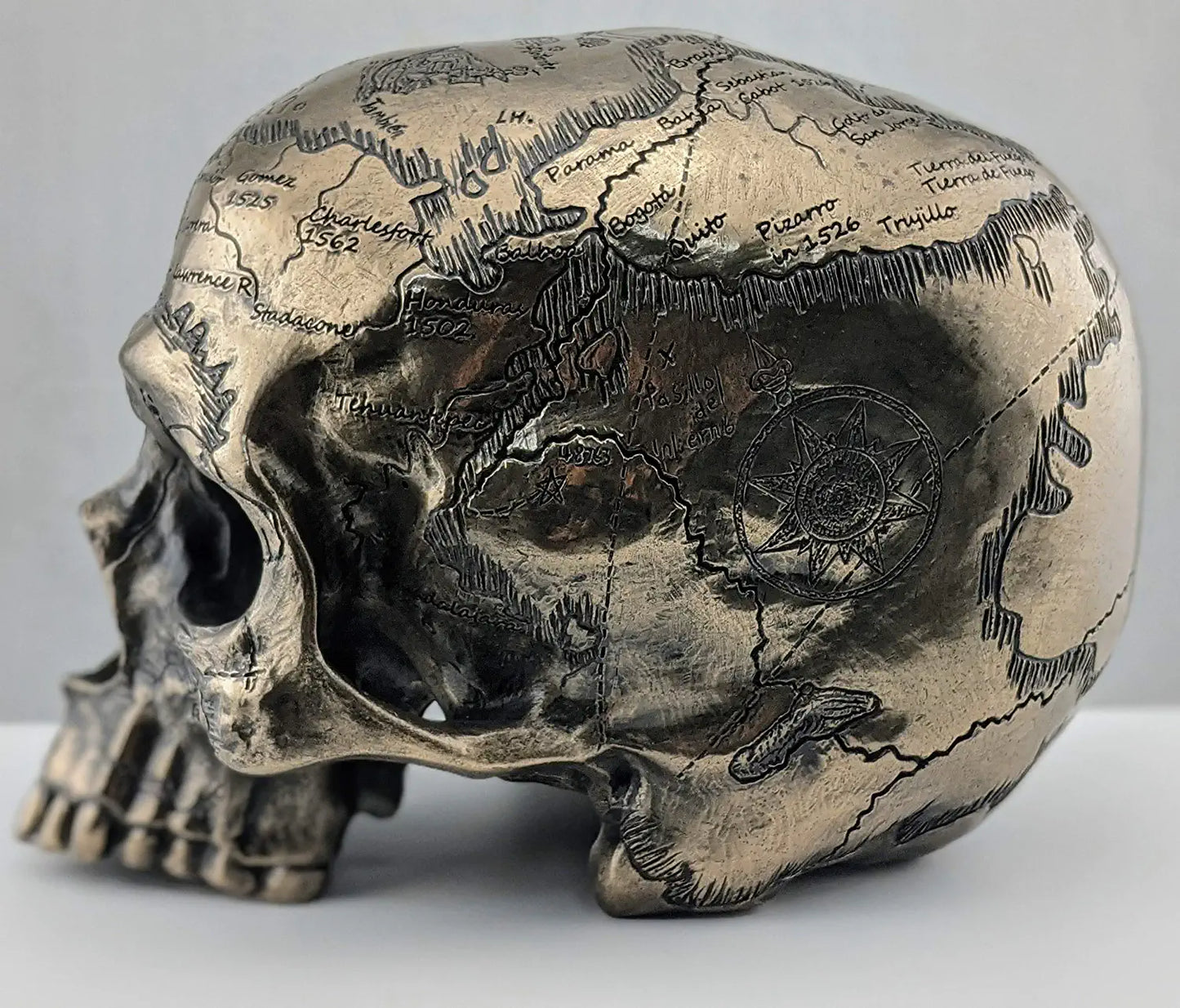 Craniumography Skull Map Statue