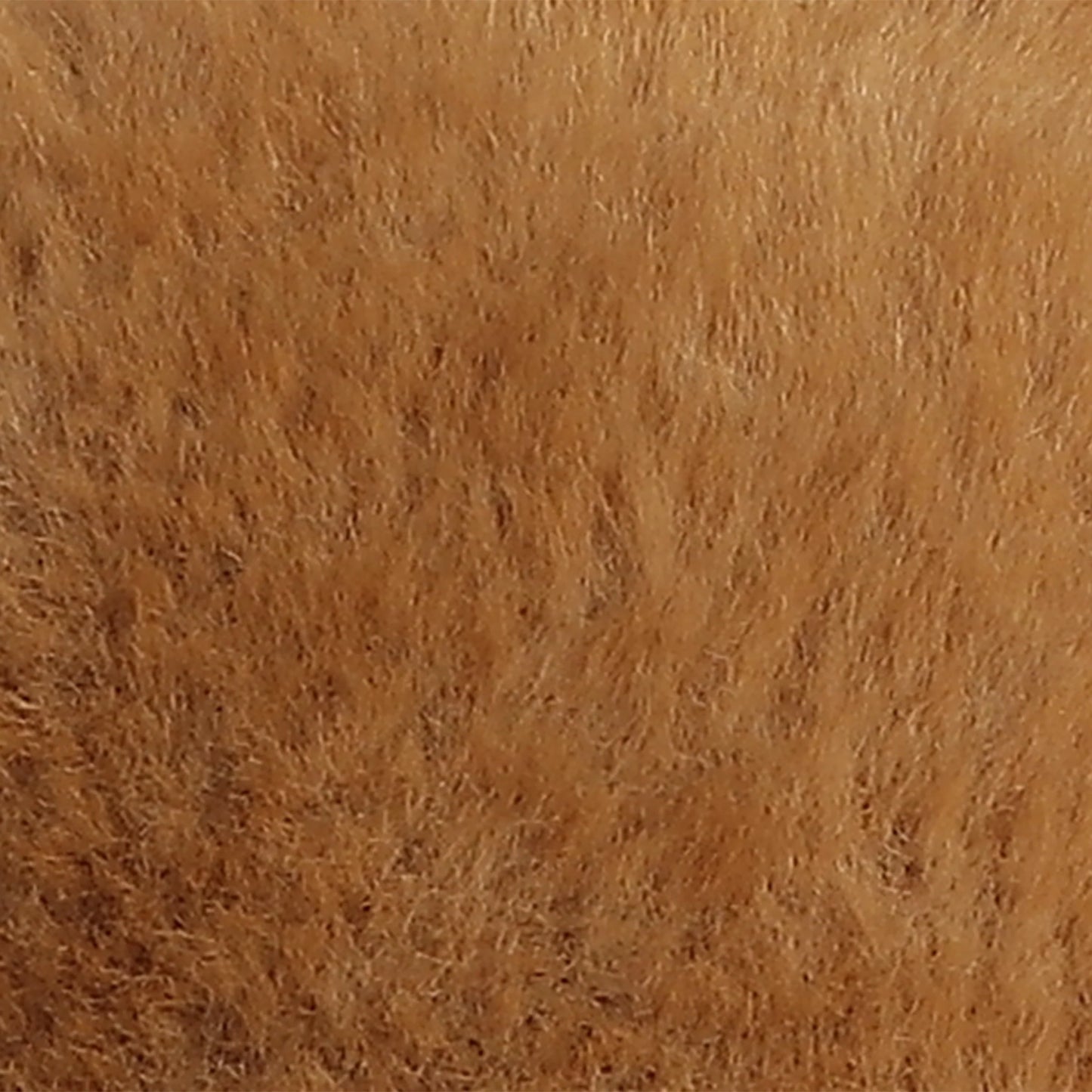 Bear - 16'' Softie Bear