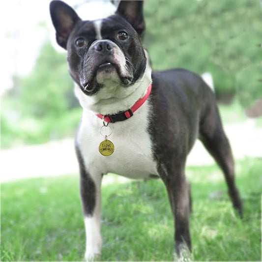 Pet Collar Charm - I Love Tennis Balls