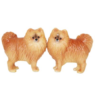 Pomeranian S & P