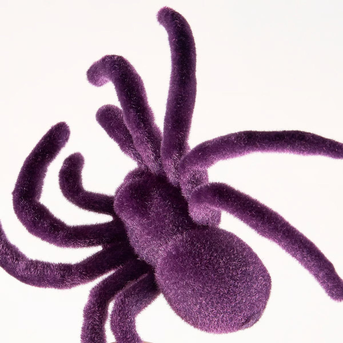Purple Flocked Spider Set