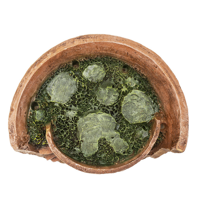 Fairy Garden Succulent Planter Pot