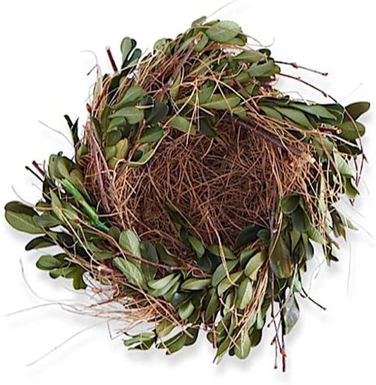 5.5 Inch Boxwood & Grass Nest
