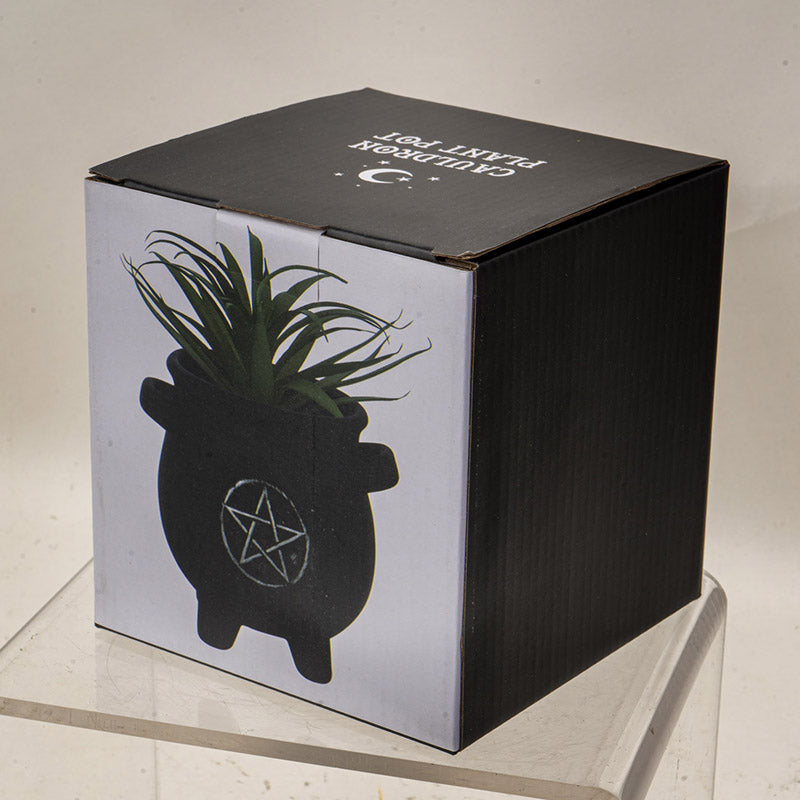 Pentagram Couldron Plant Pot