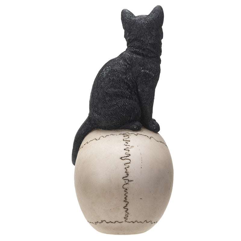 Black Cat On Skull