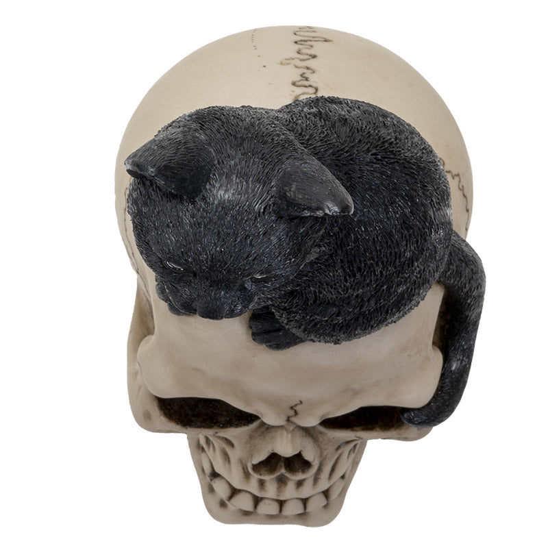Black Cat On Skull