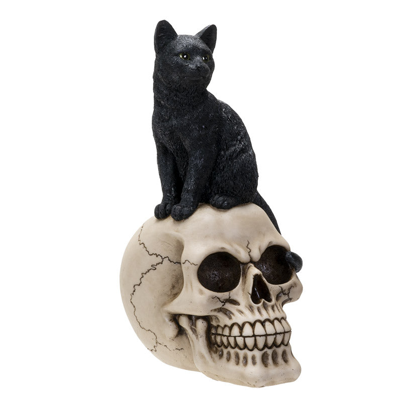 Black Cat On Skull