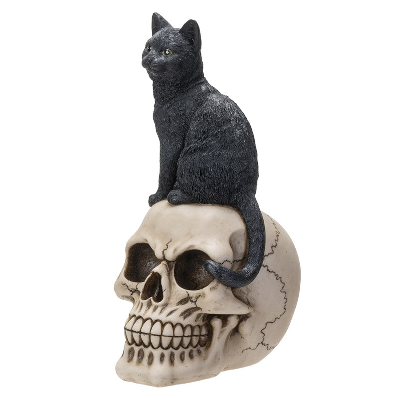 Black Cat On Skull