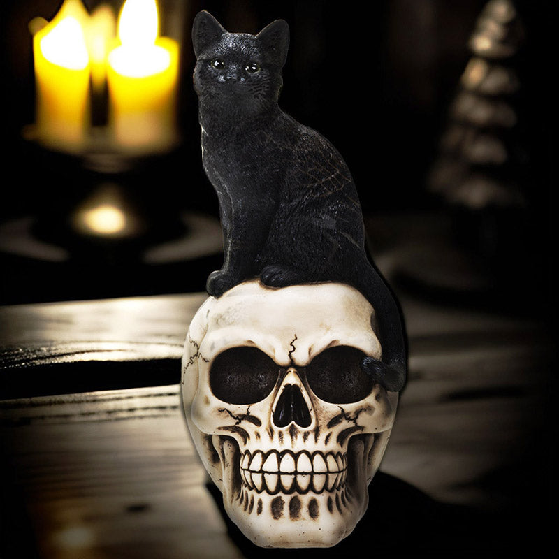 Black Cat On Skull