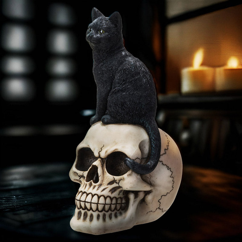 Black Cat On Skull