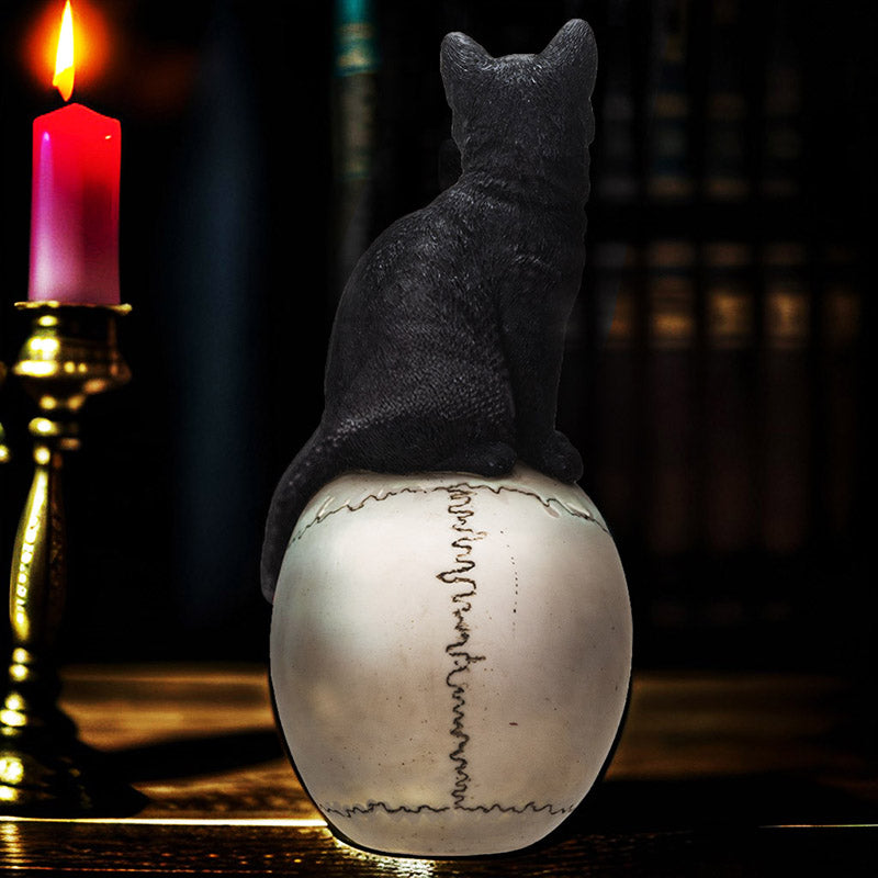 Black Cat On Skull