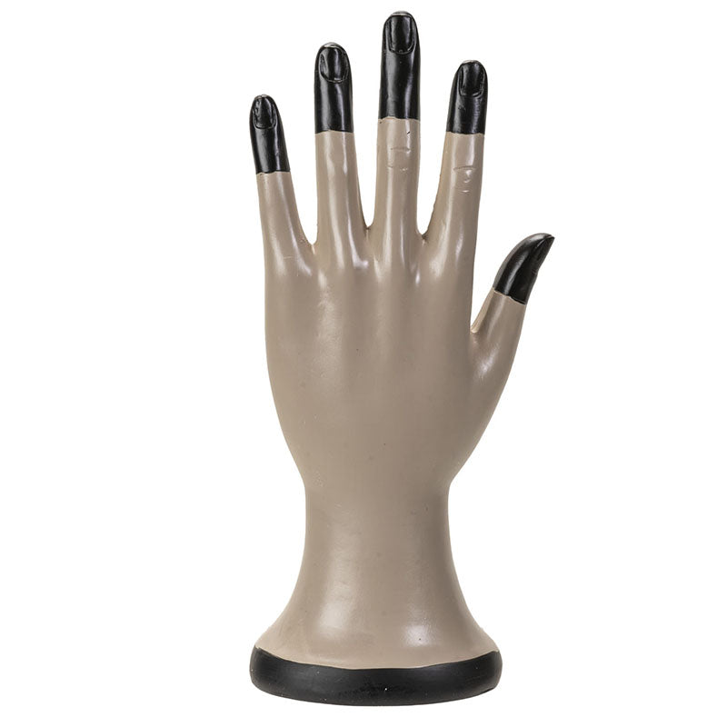Palmistry Hand