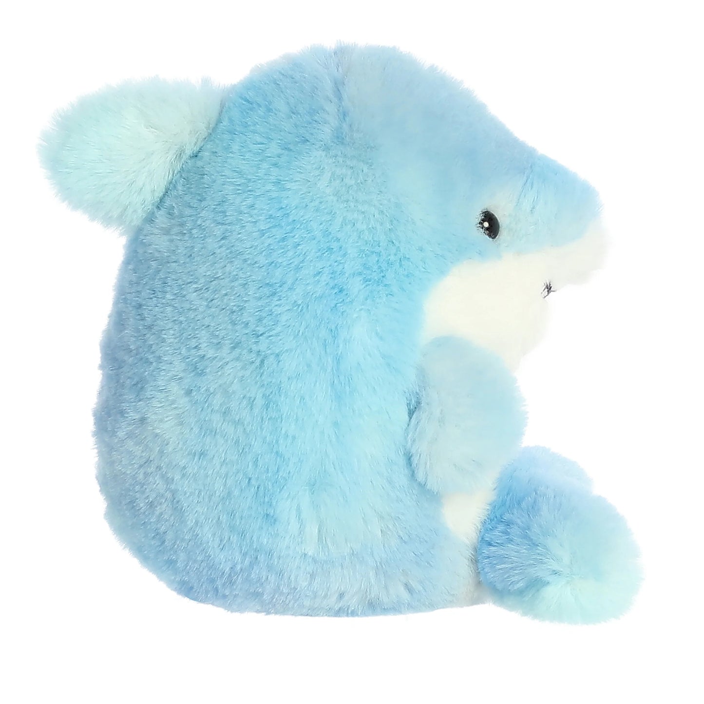 Rolly Pet - 5" Sutton Shark