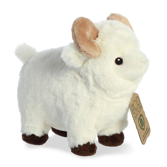 Eco Nation - 8" Ram