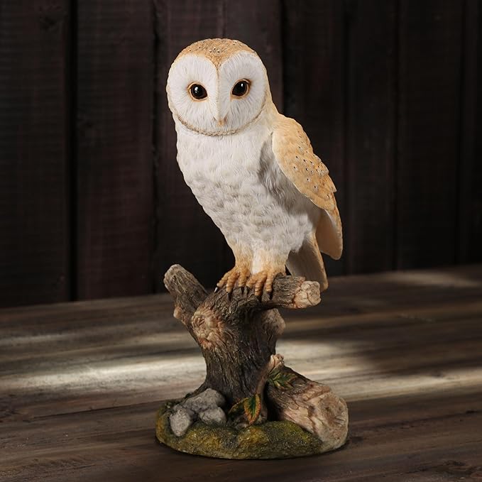 Barn Owl Standing On Branch
