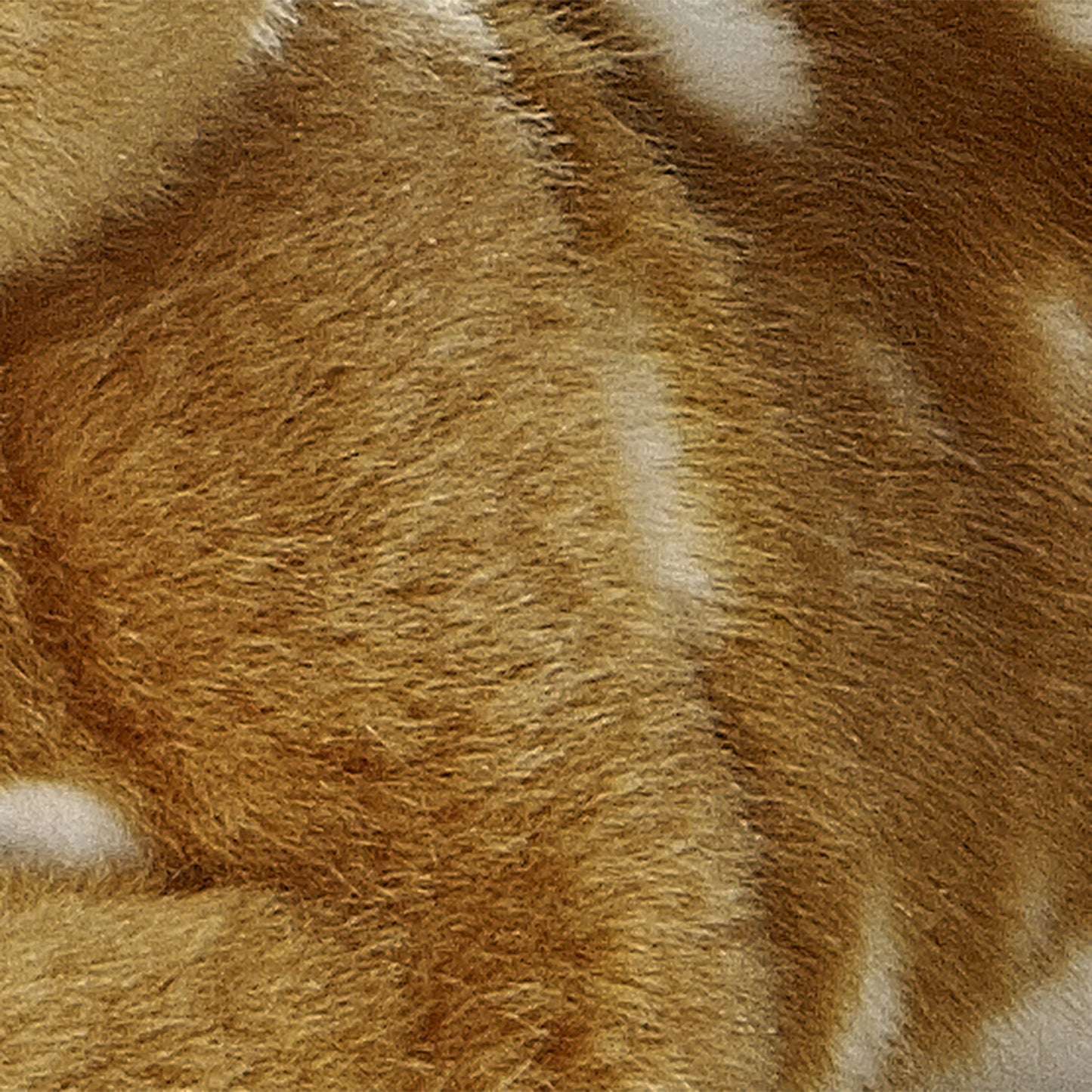 Miyoni - 8'' Fawn