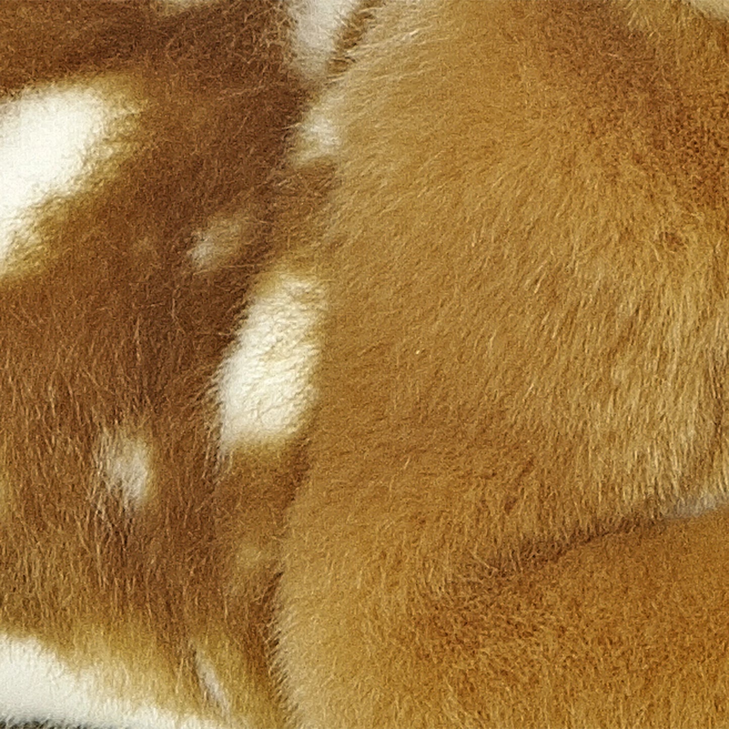 Miyoni - Fawn Plush