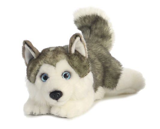 11" Husky - Lying