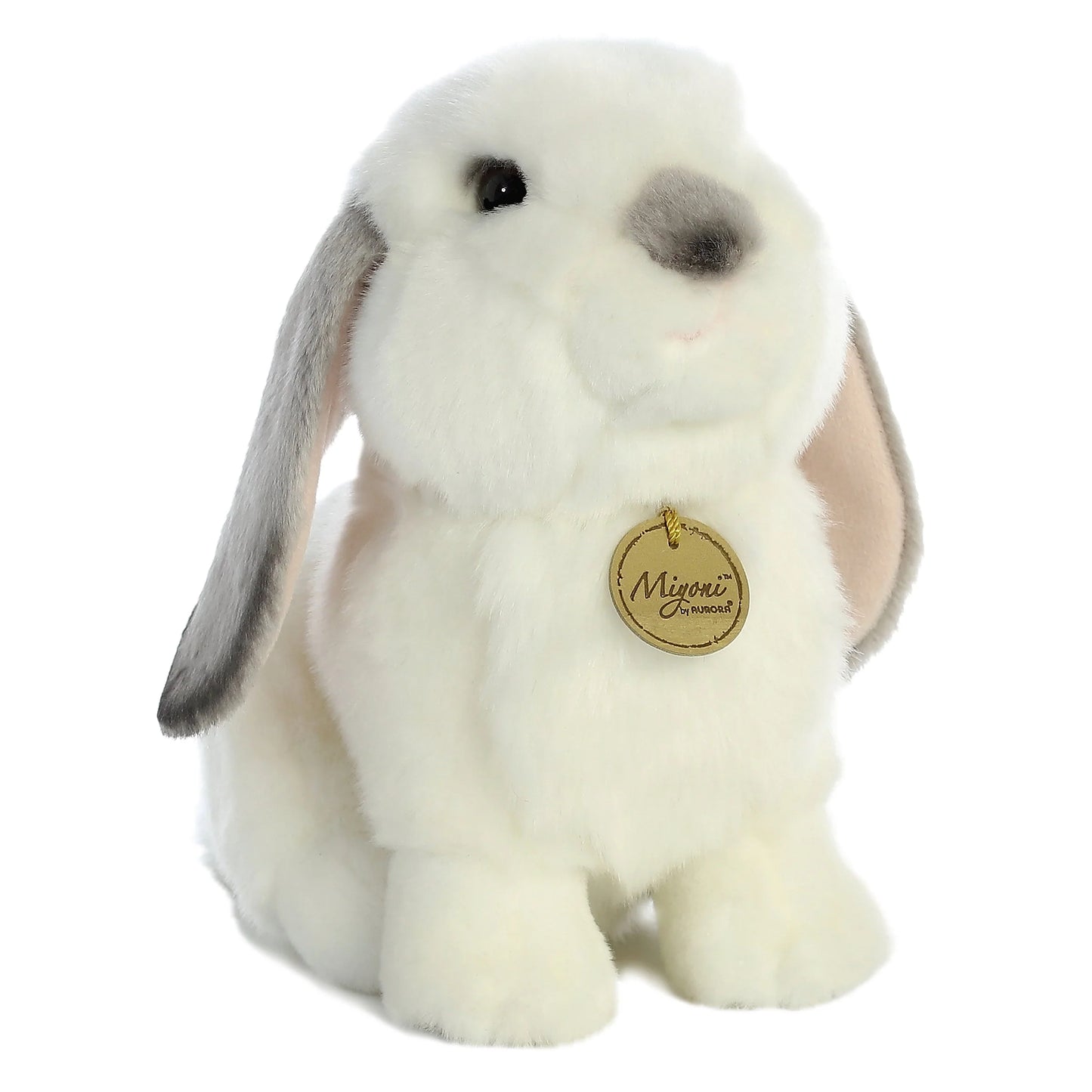 Miyoni Lop Eared Rabbit