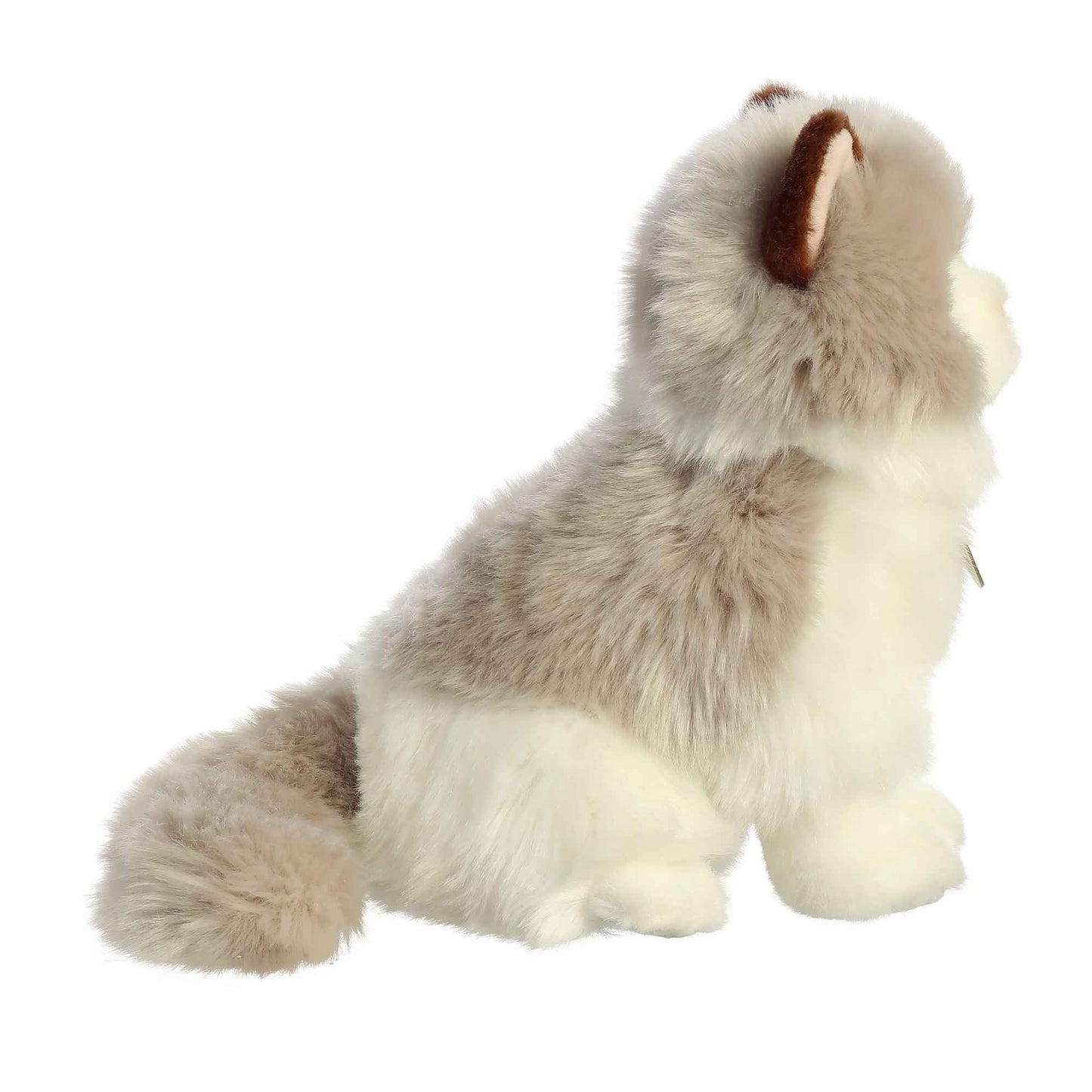 Miyoni 9" Ragdoll Cat