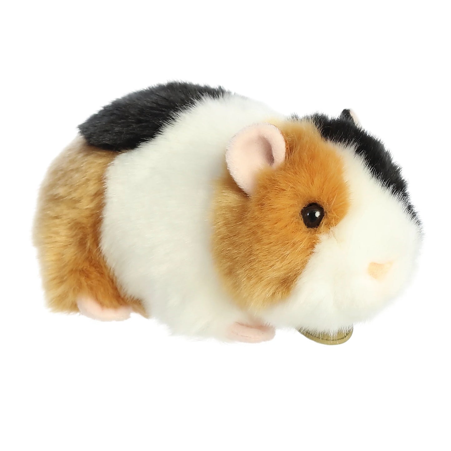 Miyoni - 7.5" American Guinea Pig