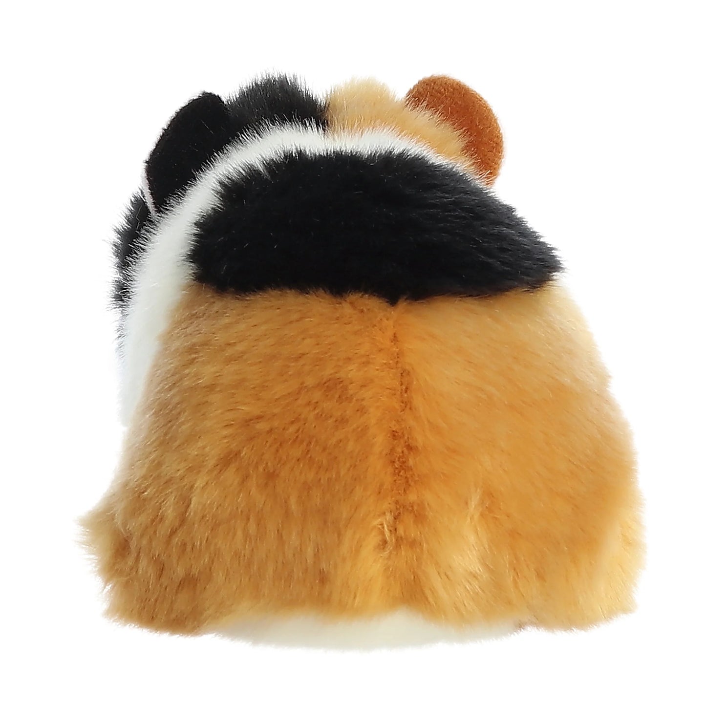 Miyoni - 7.5" American Guinea Pig