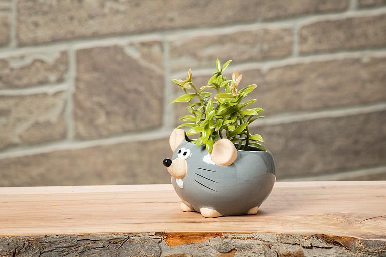 Download Images Mini Mouse Planter
