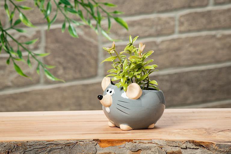Download Images Mini Mouse Planter