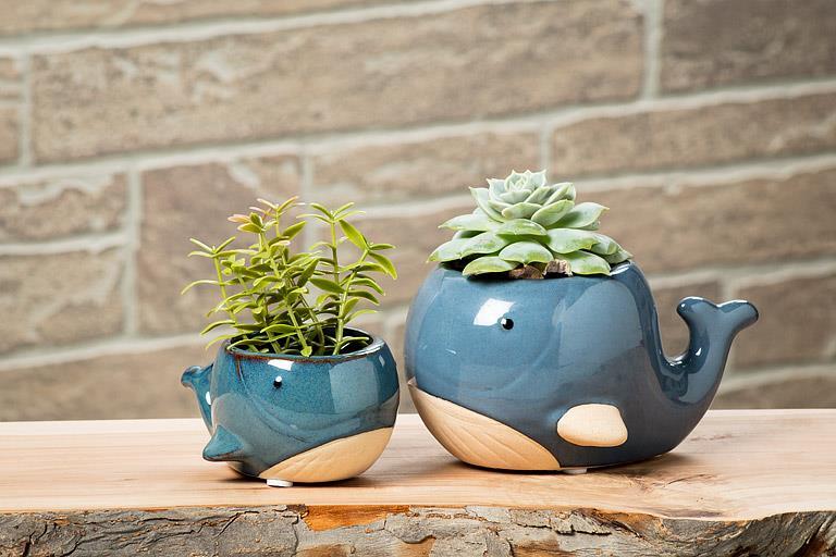 Large Whale Planter