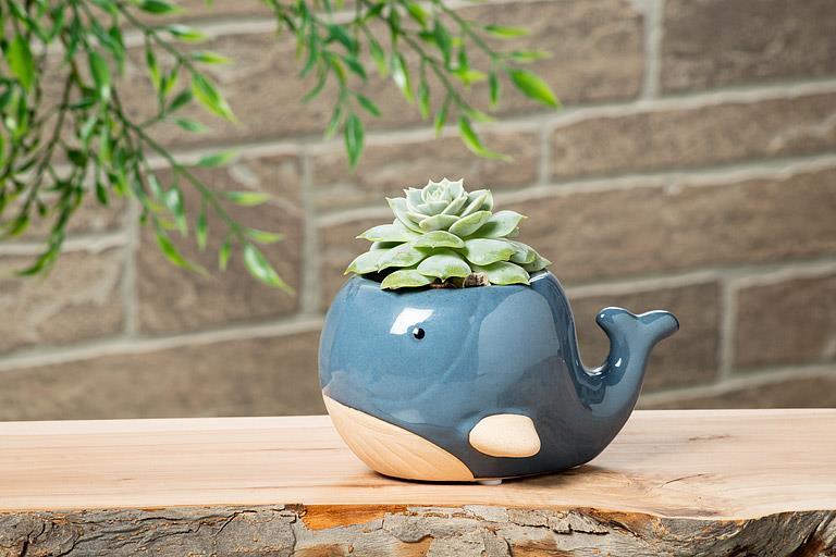 Large Whale Planter