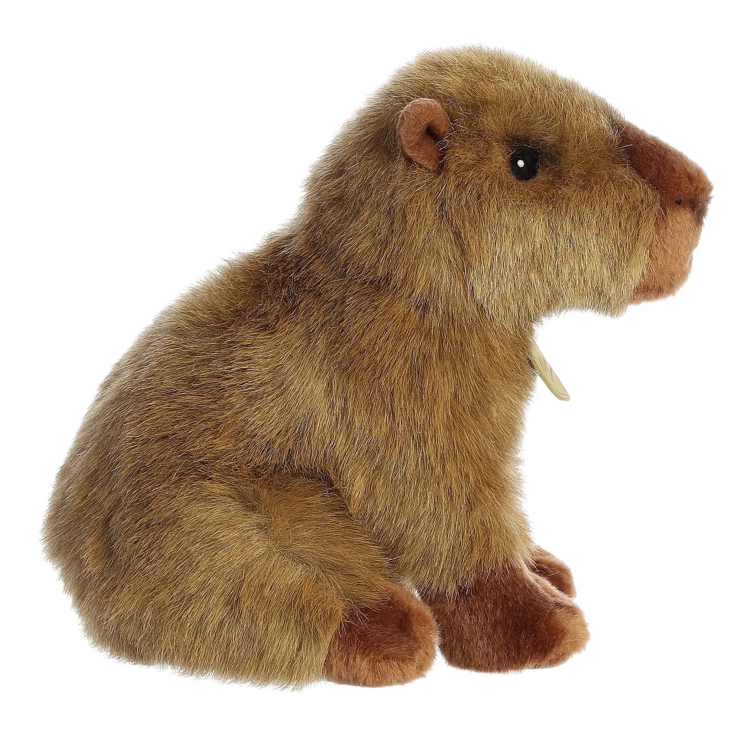 Miyoni - 9" Capybara