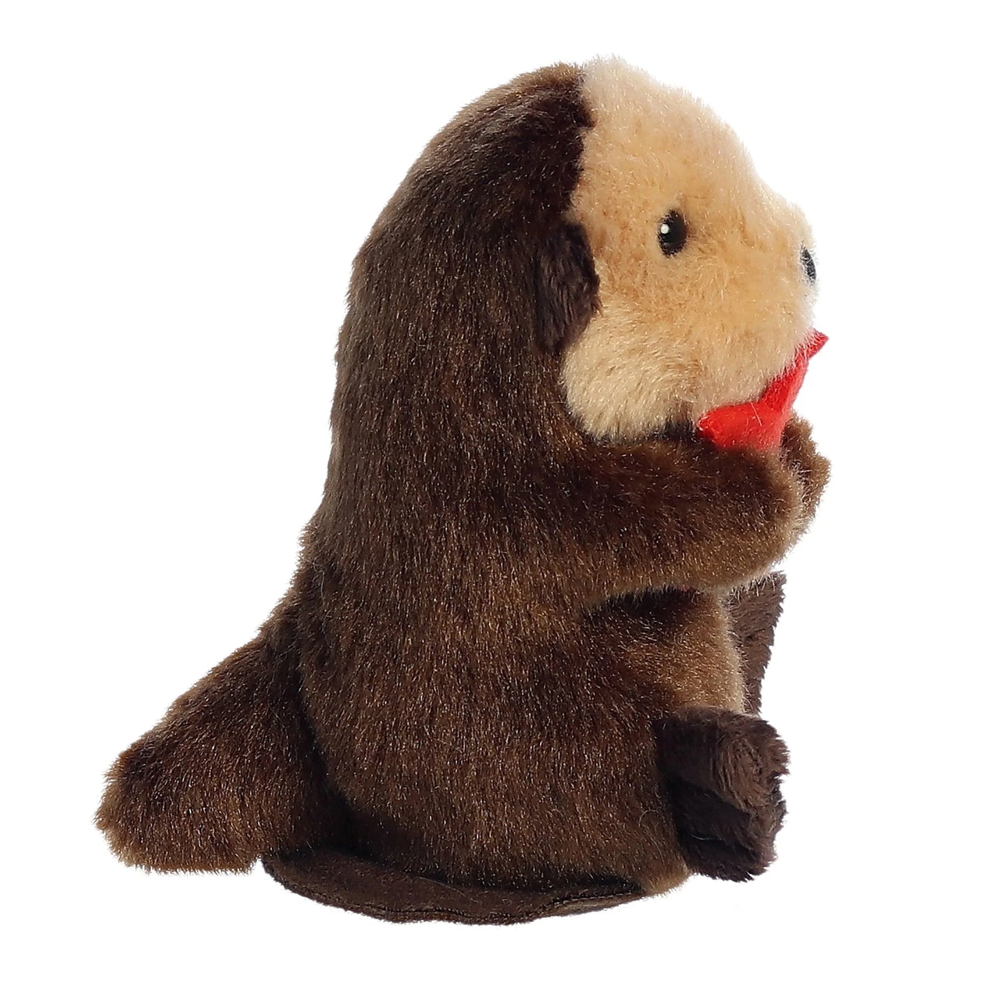 Shoulderkins - 4.5" Spiffy Otter