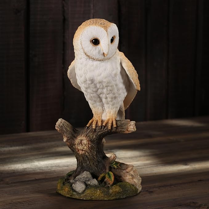Barn Owl Standing On Branch