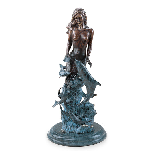 Mermaid With Dolphins
