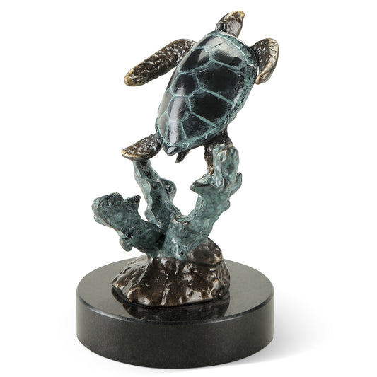 Solo Sea Turtle With Coral