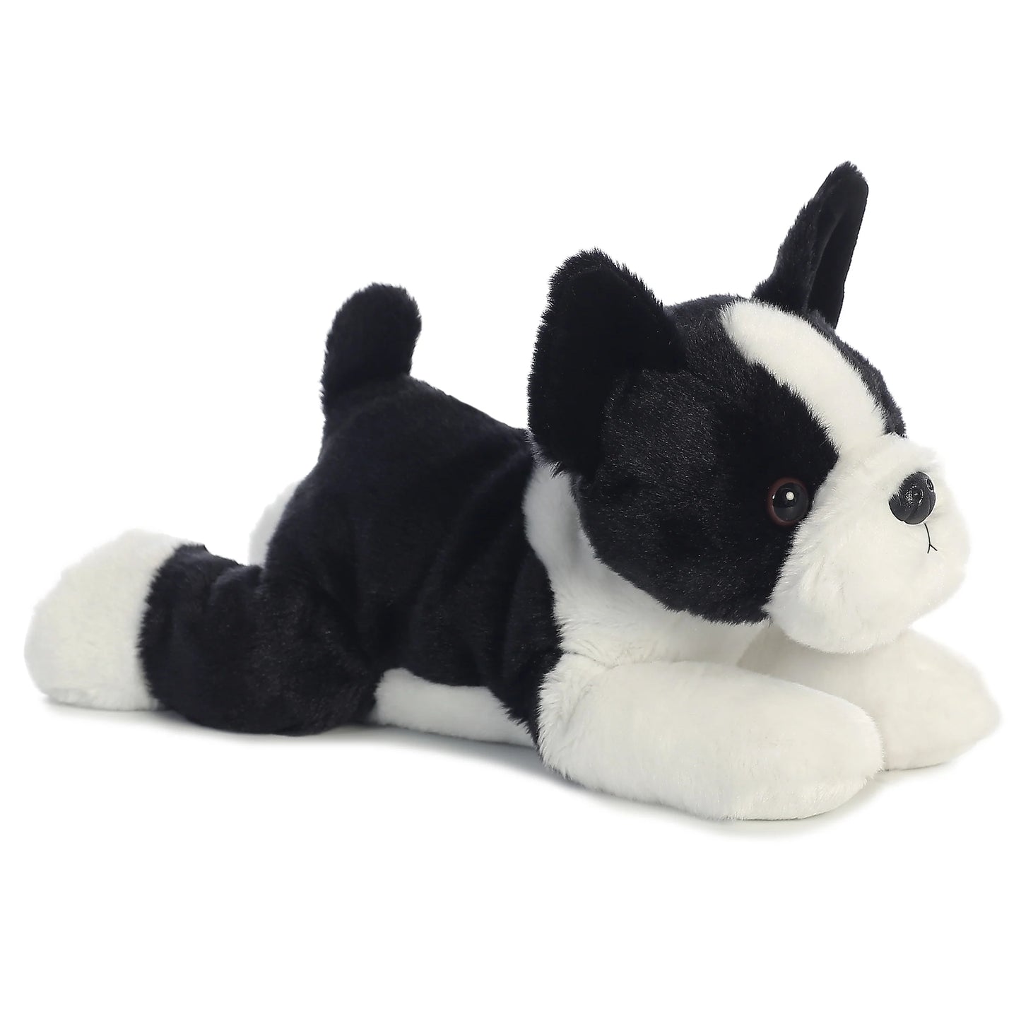 12" Buster Boston Terrier